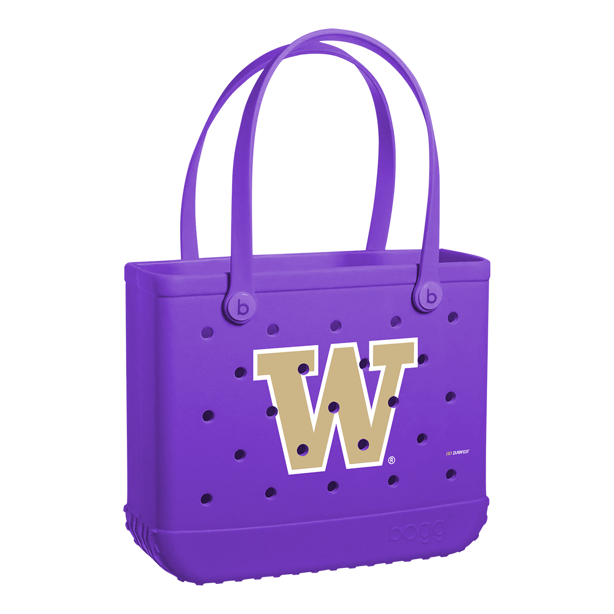 Baby_Washington-Huskies_A.png